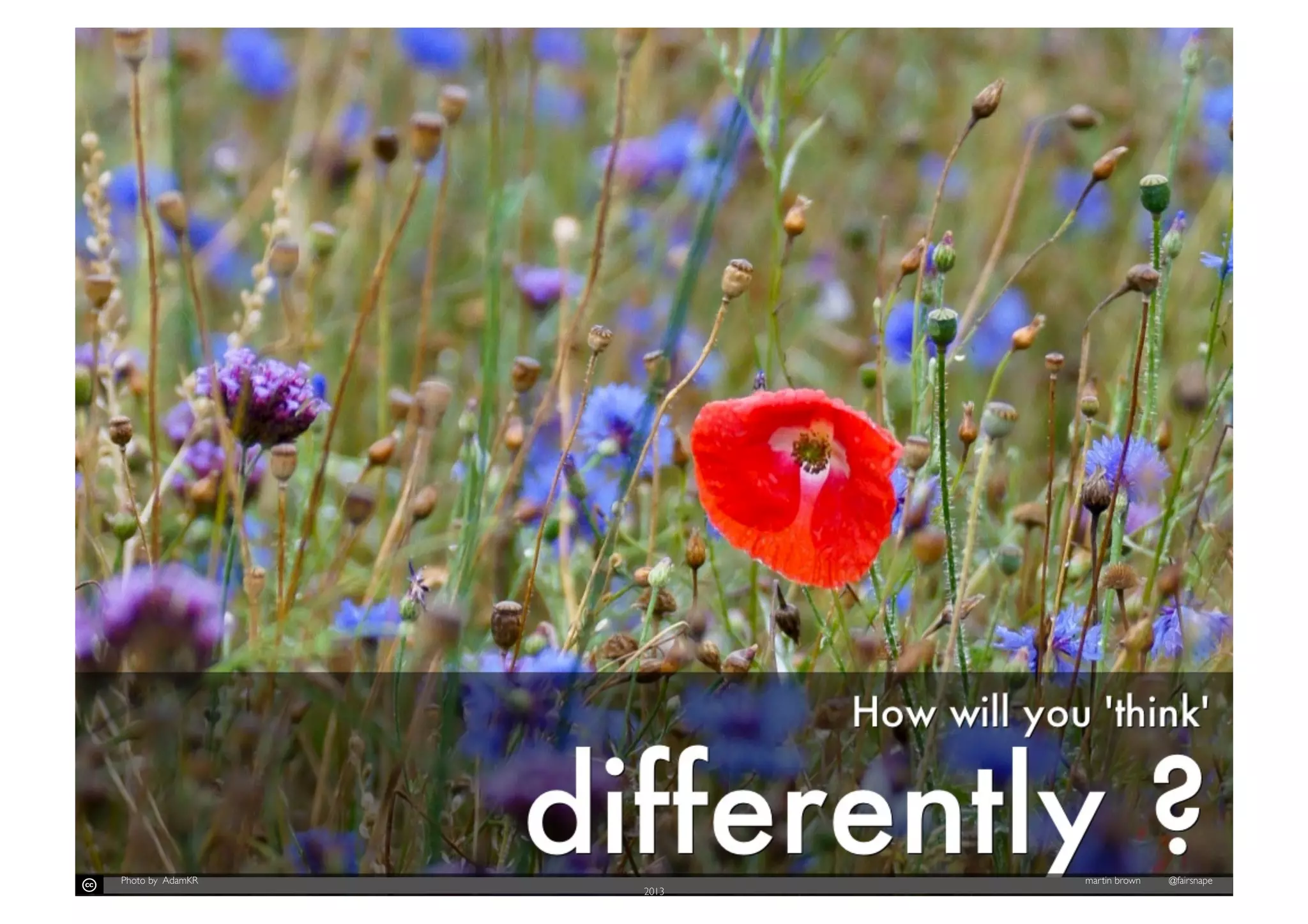 Photo by AdamKR

2013

	


martin brown

@fairsnape

 