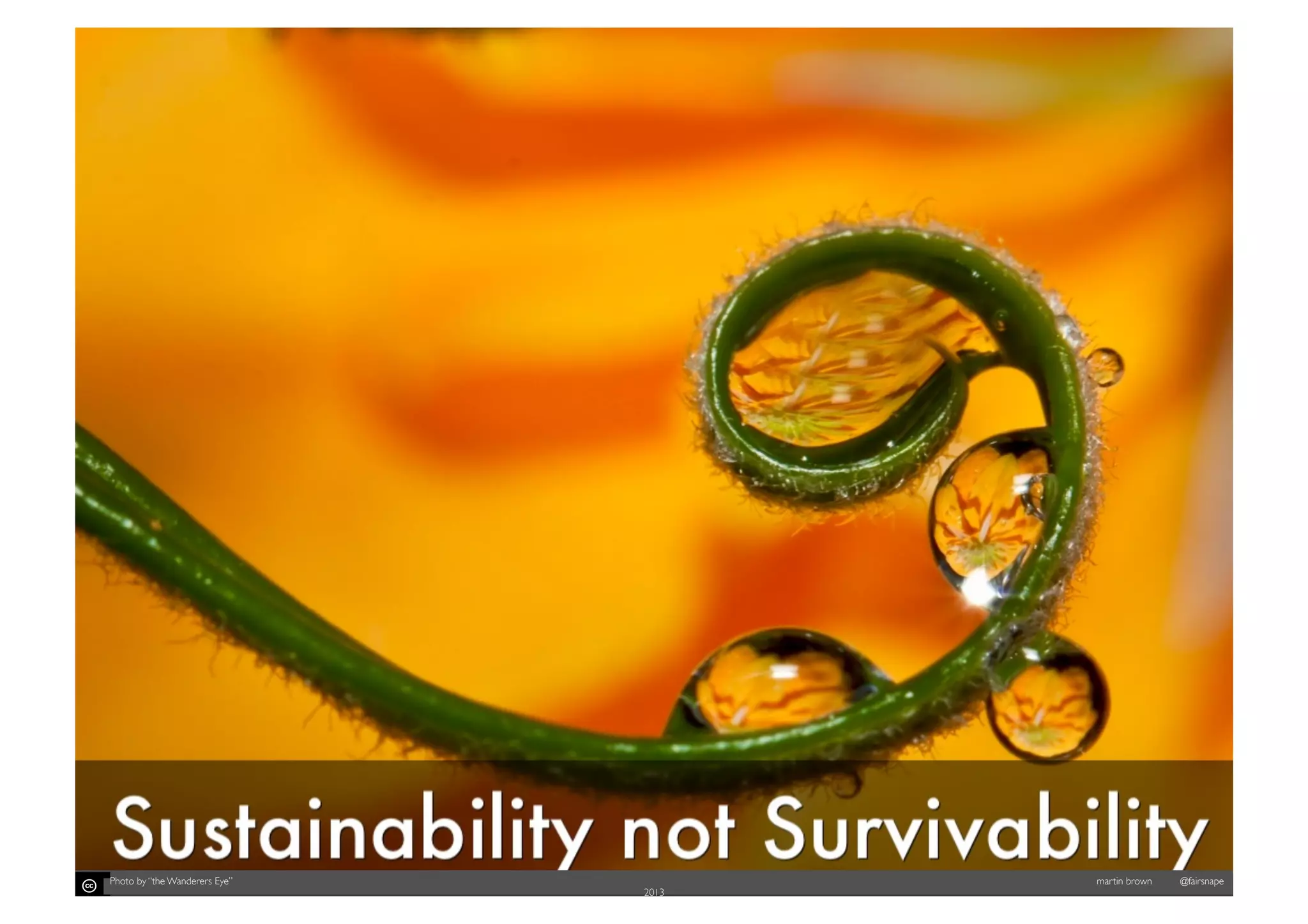 Photo by “the Wanderers Eye”
Photo by “The Wanderers

Eye

2013

	


martin brown

martin brown
@fairsnape

@fairsnape
2013

	


 