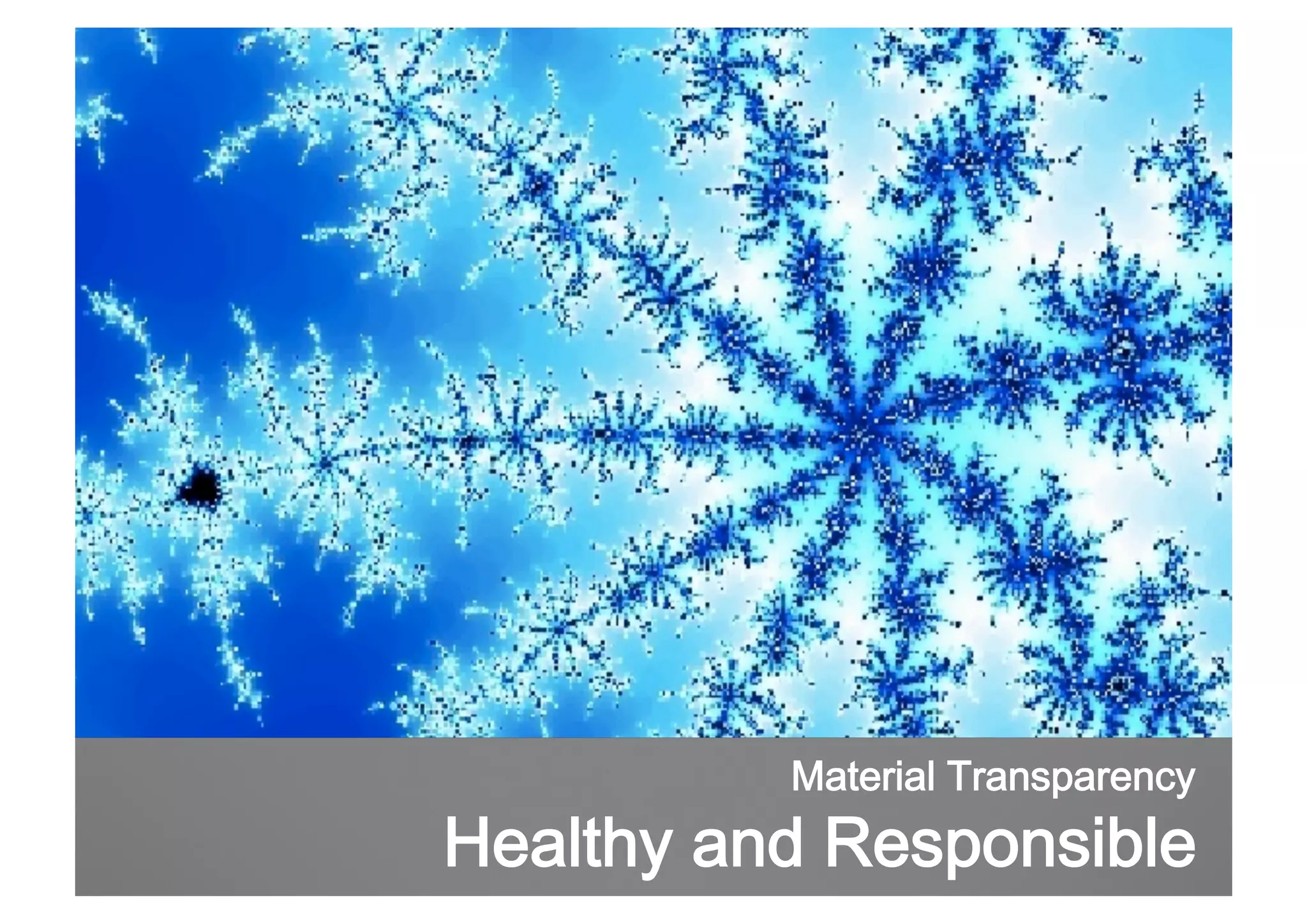 Material Transparency

Healthy and Responsible

 