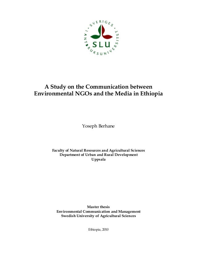 Master thesis of management
