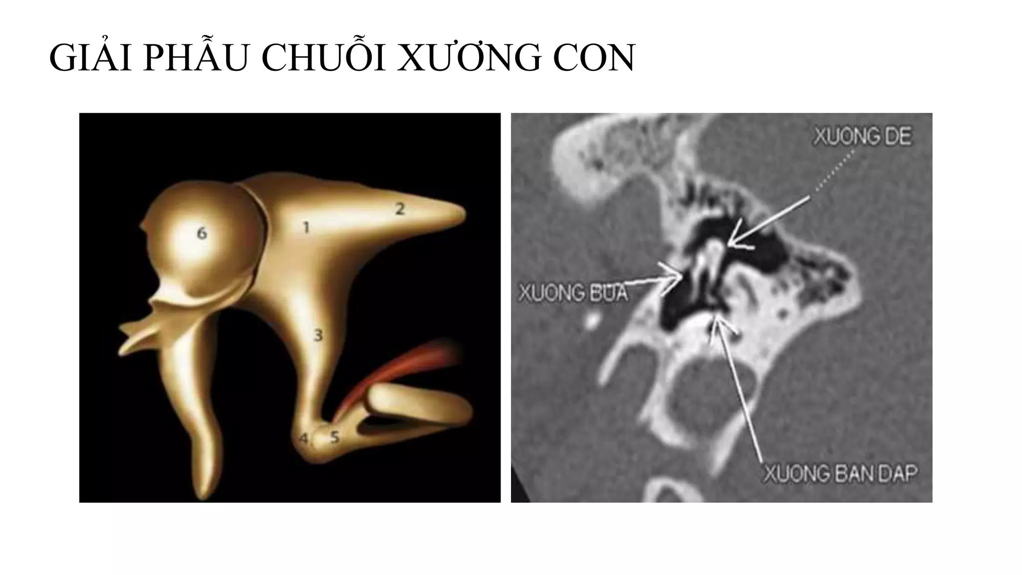 Yalangoch moldova ayollarining erotik fotosuratlari