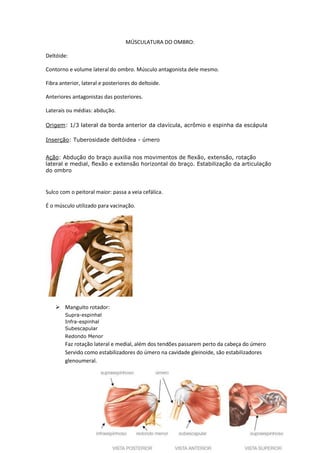 MÚSCULATURA DO OMBRO:
Deltóide:
Contorno e volume lateral do ombro. Músculo antagonista dele mesmo.
Fibra anterior, lateral e posteriores do deltoide.
Anteriores antagonistas das posteriores.
Laterais ou médias: abdução.
Origem: 1/3 lateral da borda anterior da clavícula, acrômio e espinha da escápula
Inserção: Tuberosidade deltóidea - úmero
Ação: Abdução do braço auxilia nos movimentos de flexão, extensão, rotação
lateral e medial, flexão e extensão horizontal do braço. Estabilização da articulação
do ombro
Sulco com o peitoral maior: passa a veia cefálica.
É o músculo utilizado para vacinação.
 Manguito rotador:
Supra-espinhal
Infra-espinhal
Subescapular
Redondo Menor
Faz rotação lateral e medial, além dos tendões passarem perto da cabeça do úmero
Servido como estabilizadores do úmero na cavidade gleinoide, são estabilizadores
glenoumeral.
 