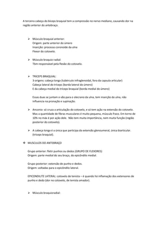A terceira cabeça do bíceps braquial tem a compressão no nervo mediano, causando dor na
região anterior do antebraço.
 Músculo braquial anterior:
Origem: parte anterior do úmero
Inserção: processo coronoide da ulna
Flexor do cotovelo.
 Músculo braquio radial:
Tbm responsável pela flexão do cotovelo.
 TRICEPS BRAQUIAL:
3 origens: cabeça longa (tubérculo infraglenoidal, fora da capsula articular)
Cabeça lateral do tríceps (borda lateral do úmero)
E da cabeça medial do tríceps braquial (borda medial do úmero)
Essas duas se juntam e vão para o olecrano da ulna, tem inserção da ulna, não
influencia na pronação e supinação.
 Anconio: só cruza a articulação do cotovelo, e só tem ação na extensão do cotovelo.
Mas a quantidade de fibras musculares é muito pequena, músculo fraco. Em torno de
10% no máx é por ação dele. Não tem muita importância, nem muita função (região
posterior do cotovelo).
 A cabeça longa é a única que participa da extensão glenoumeral, única biarticular.
(tríceps braquial).
 MUSCULOS DO ANTEBRAÇO
Grupo anterior: fletir punhos ou dedos (GRUPO DE FLEXORES)
Origem: parte medial do seu braço, do epicôndilo medial.
Grupo posterior: extensão de punho e dedos.
Origem: voltadas para o epicôndilo lateral.
EPICONDILITE LATERAL: cotovelo de tenista – é quando há inflamação dos extensores de
punho e dedo (dor no cotovelo, de tenista amador).
 Músculo braquioradial:
 