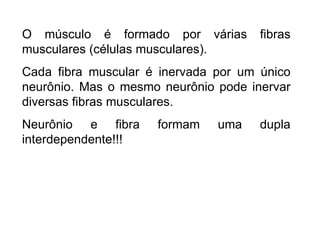 O músculo é formado por várias fibras musculares (células musculares). Cada fibra muscular é inervada por um único neurônio. Mas o mesmo neurônio pode inervar diversas fibras musculares. Neurônio e fibra formam uma dupla interdependente!!! 