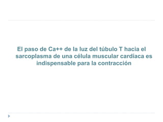 El paso de Ca++ de la luz del túbulo T hacia el
sarcoplasma de una célula muscular cardíaca es
indispensable para la contracción
 