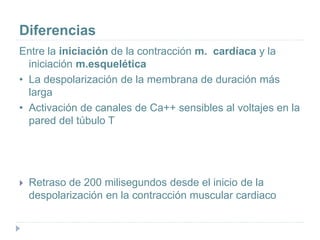 Diferencias
Entre la iniciación de la contracción m. cardíaca y la
iniciación m.esquelética
• La despolarización de la membrana de duración más
larga
• Activación de canales de Ca++ sensibles al voltajes en la
pared del túbulo T
 Retraso de 200 milisegundos desde el inicio de la
despolarización en la contracción muscular cardiaco
 