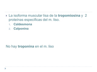  La isoforma muscular lisa de la tropomiosina y 2
proteínas específicas del m. liso.
1. Caldesmona
2. Calponina
No hay troponina en el m. liso
 