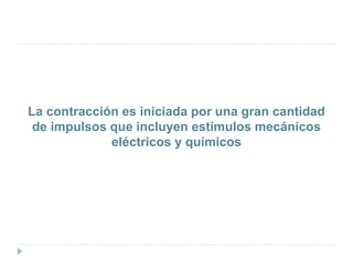 La contracción es iniciada por una gran cantidad
de impulsos que incluyen estímulos mecánicos
eléctricos y químicos
 
