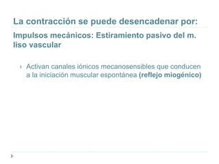 La contracción se puede desencadenar por:
Impulsos mecánicos: Estiramiento pasivo del m.
liso vascular
 Activan canales iónicos mecanosensibles que conducen
a la iniciación muscular espontánea (reflejo miogénico)
 