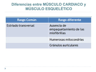 Diferencias entre MÚSCULO CARDIACO y
MÚSCULO ESQUELÉTICO
 