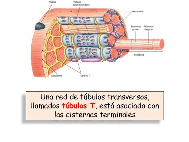 Ver las imágenes de origen