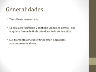 Generalidades
• También es involuntario.
• La célula es fusiforme y contiene un núcleo central, que
adquiere forma de tirabuzón durante la contracción.
• Sus filamentos gruesos y finos están dispuestos
aparentemente al azar.
 