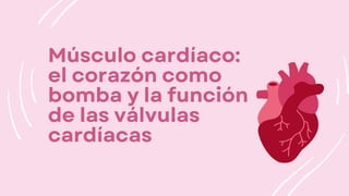 Músculo cardíaco:
el corazón como
bomba y la función
de las válvulas
cardíacas
 