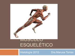MÚSCULO
ESQUELÉTICO
Histología 2012 Dra.Marusa Torres
 