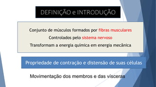 DEFINIÇÃO e INTRODUÇÃO
Conjunto de músculos formados por fibras musculares
Controlados pelo sistema nervoso
Transformam a energia química em energia mecânica
Propriedade de contração e distensão de suas células
Movimentação dos membros e das vísceras
 