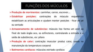 FUNÇÕES DOS MÚCULOS
Produção de movimentos: caminhar, correr, escrever...
Estabilizar posições: contrações do músculo esquelético
estabilizam as articulações e ajudam manter posições – ficar de pé
ou sentado
Armazenamento de substâncias: músculo liso forma um anel ao
final de todo órgão oco, os esfíncteres, controlando a entrada e a
saída de substâncias, ex: piloro
Produção de calor: contração muscular produz calor, usado na
manutenção da temperatura corporal
Batimentos cardíacos: músculos estriado cardíaco
 