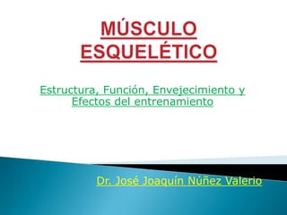 Estructura, Función, Envejecimiento y
Efectos del entrenamiento

Dr. José Joaquín Núñez Valerio

 