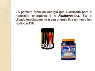 A primeira fonte de energia que é utilizada para a
reposição energética é a Fosfocreatina. Ela é
clivada imediatamente e sua energia liga um novo íon
fosfato a ATP.
 