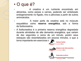 • O que é?
 A creatina é um nutriente encontrado em
alimentos, como peixes e carnes, podendo ser sintetizado
endogenamente no fígado, rins e pâncreas a partir de outros
aminoácidos.
 A maior parte da creatina está no músculo
esquelético como reserva energética, sob a forma
de fosfocreatina.
 A fosfocreatina é a primeira reserva energética degradada
durante atividades de alta demanda energética, que variam
de dez segundos a cerca de um minuto, porém seus
estoques são ressintetizados em poucos minutos, o que a
torna importante em exercícios intermitentes.
 