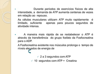  Durante períodos de exercícios físicos de alta
intensidade, a demanda de ATP aumenta centenas de vezes
em relação ao repouso.
As células musculares utilizam ATP muito rapidamente é
limitado, suficiente apenas para poucos segundos de
atividade intensa.
 A maneira mais rápida de se restabelecer o ATP é
através da transferência do grupo fosfato da Fosfocreatina
para o ADP.
A Fosfocreatina existente nos músculos prolonga o tempo de
níveis elevados de energia de
 2 a 3 segundos com ATP
 10 segundos com ATP + Creatina
 