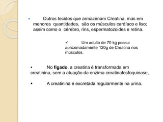  Outros tecidos que armazenam Creatina, mas em
menores quantidades, são os músculos cardíaco e liso;
assim como o cérebro, rins, espermatozoides e retina.
 Um adulto de 70 kg possui
aproximadamente 120g de Creatina nos
músculos.
 No fígado, a creatina é transformada em
creatinina, sem a atuação da enzima creatinafosfoquinase,
 A creatinina é excretada regularmente na urina.
 