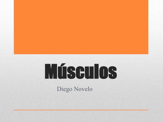 Músculos
Diego Novelo
 