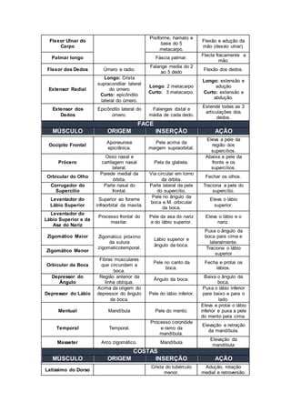 Flexor Ulnar do 
Carpo 
Pisiforme, hamato e 
base do 5 
metacarpo. 
Flexão e adução da 
mão (desvio ulnar). 
Palmar longo Fáscia palmar. 
Flecte fracamente a 
mão. 
Flexor dos Dedos Úmero e radio. 
Falange media do 2 
ao 5 dedo 
Flexão dos dedos. 
Extensor Radial 
Longo: Crista 
supracondilar lateral 
do úmero 
Curto: epicôndilo 
lateral do úmero. 
Longo: 2 metacarpo 
Curto: 3 metacarpo. 
Longo: extensão e 
adução 
Curto: extensão e 
abdução. 
Extensor dos 
Dedos 
Epicôndilo lateral do 
úmero. 
Falanges distal e 
média de cada dedo. 
Estende todas as 3 
articulações dos 
dedos. 
FACE 
MÚSCULO ORIGEM INSERÇÃO AÇÃO 
Occipito Frontal 
Aponeurose 
epicrânica. 
Pele acima da 
margem supraorbital. 
Eleva a pele da 
região dos 
supercílios. 
Prócero 
Osso nasal e 
cartilagem nasal 
lateral. 
Pela da glabela. 
Abaixa a pele da 
fronte e os 
supercílios. 
Orbicular do Olho 
Parede medial da 
órbita. 
Via circular em torno 
da órbita. 
Fechar os olhos. 
Corrugador do 
Supercílio 
Parte nasal do 
frontal. 
Parte lateral da pele 
do supercílio. 
Traciona a pele do 
supercílio. 
Levantador do 
Lábio Superior 
Superior ao forame 
infraorbital da maxila. 
Pele no ângulo da 
boca e M. orbicular 
da boca. 
Eleva o lábio 
superior. 
Levantador do 
Lábio Superior e da 
Asa do Nariz 
Processo frontal do 
maxilar. 
Pele da asa do nariz 
e do lábio superior. 
Eleva o lábio e o 
nariz. 
Zigomático Maior Zigomático próximo 
da sutura 
zigomaticotemporal. 
Lábio superior e 
ângulo da boca. 
Puxa o ângulo da 
boca para cima e 
lateralmente. 
Zigomático Menor 
Traciona o lábio 
superior 
Orbicular da Boca 
Fibras musculares 
que circundam a 
boca. 
Pele no canto da 
boca. 
Fecha e protai os 
lábios. 
Depressor do 
Ângulo 
Região anterior da 
linha oblíqua. 
Ângulo da boca. 
Baixa o ângulo da 
boca. 
Depressor do Lábio 
Acima da origem do 
depressor do ângulo 
da boca. 
Pele do lábio inferior. 
Puxa o lábio inferior 
para baixo e para o 
lado. 
Mentual Mandíbula Pele do mento. 
Eleva e protai o lábio 
inferior e puxa a pele 
do mento para cima. 
Temporal Temporal. 
Processo coronóide 
e ramo da 
mandíbula. 
Elevação e retração 
da mandíbula. 
Masseter Arco zigomático. Mandíbula 
Elevação da 
mandíbula 
COSTAS 
MÚSCULO ORIGEM INSERÇÃO AÇÃO 
Latíssimo do Dorso 
Crista do tubérculo 
menor. 
Adução, rotação 
medial e retroversão. 
 