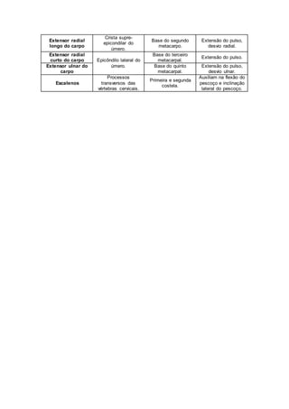 Extensor radial 
longo do carpo 
Crista supre-epicondilar 
do 
úmero. 
Base do segundo 
metacarpo. 
Extensão do pulso, 
desvio radial. 
Extensor radial 
curto do carpo Epicôndilo lateral do 
úmero. 
Base do terceiro 
metacarpal. 
Extensão do pulso. 
Extensor ulnar do 
carpo 
Base do quinto 
metacarpal. 
Extensão do pulso, 
desvio ulnar. 
Escalenos 
Processos 
transversos das 
vértebras cervicais. 
Primeira e segunda 
costela. 
Auxiliam na flexão do 
pescoço e inclinação 
lateral do pescoço. 
