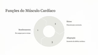 Funções do Músculo Cardíaco
Bombeamento
Do sangue para o corpo.
1
Ritmo
Manutenção constante.
2
Adaptação
Aumento do débito cardíaco.
3
 