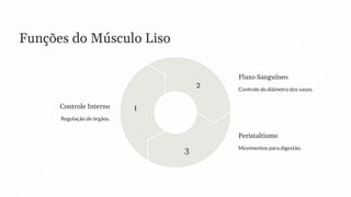 Funções do Músculo Liso
Controle Interno
Regulação de órgãos.
1
Fluxo Sanguíneo
Controle do diâmetro dos vasos.
2
Peristaltismo
Movimentos para digestão.
3
 