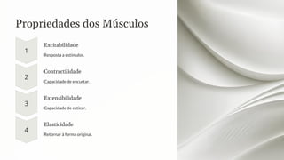 Propriedades dos Músculos
Excitabilidade
Resposta a estímulos.
Contractilidade
Capacidade de encurtar.
Extensibilidade
Capacidade de esticar.
Elasticidade
Retornar à forma original.
 
