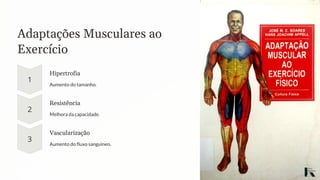 Adaptações Musculares ao
Exercício
Hipertrofia
Aumento do tamanho.
Resistência
Melhora da capacidade.
Vascularização
Aumento do fluxo sanguíneo.
 