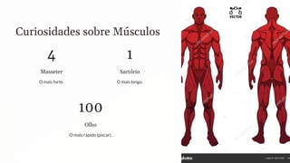 Curiosidades sobre Músculos
4
Masseter
O mais forte.
1
Sartório
O mais longo.
100
Olho
O mais rápido (piscar).
 