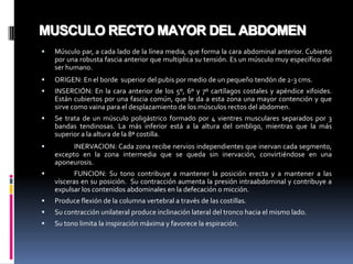 MUSCULO RECTO MAYOR DEL ABDOMEN


Músculo par, a cada lado de la línea media, que forma la cara abdominal anterior. Cubierto
por una robusta fascia anterior que multiplica su tensión. Es un músculo muy específico del
ser humano.



ORIGEN: En el borde superior del pubis por medio de un pequeño tendón de 2-3 cms.



INSERCIÓN: En la cara anterior de los 5º, 6º y 7º cartílagos costales y apéndice xifoides.
Están cubiertos por una fascia común, que le da a esta zona una mayor contención y que
sirve como vaina para el desplazamiento de los músculos rectos del abdomen.



Se trata de un músculo poligástrico formado por 4 vientres musculares separados por 3
bandas tendinosas. La más inferior está a la altura del ombligo, mientras que la más
superior a la altura de la 8ª costilla.



INERVACION: Cada zona recibe nervios independientes que inervan cada segmento,
excepto en la zona intermedia que se queda sin inervación, convirtiéndose en una
aponeurosis.



FUNCION: Su tono contribuye a mantener la posición erecta y a mantener a las
vísceras en su posición. Su contracción aumenta la presión intraabdominal y contribuye a
expulsar los contenidos abdominales en la defecación o micción.



Produce flexión de la columna vertebral a través de las costillas.



Su contracción unilateral produce inclinación lateral del tronco hacia el mismo lado.



Su tono limita la inspiración máxima y favorece la espiración.

 