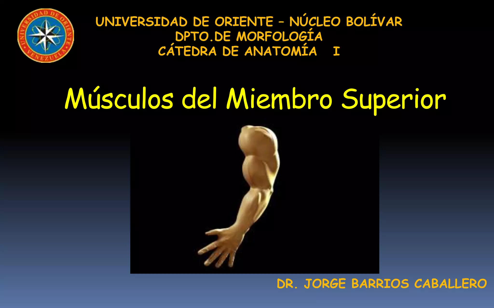 UNIVERSIDAD DE ORIENTE – NÚCLEO BOLÍVAR
            DPTO.DE MORFOLOGÍA
          CÁTEDRA DE ANATOMÍA I



Músculos del Miembro Superior




                         DR. JORGE BARRIOS CABALLERO
 