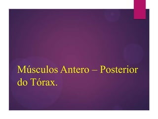 Músculos Antero – Posterior
do Tórax.

 