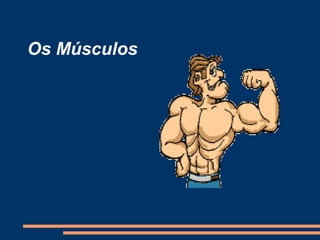 Os Músculos
 