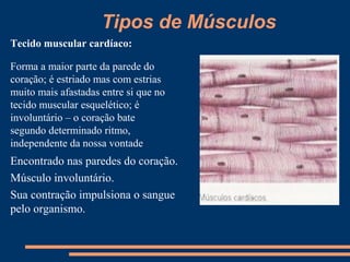 Tipos de Músculos
Tecido muscular cardíaco:

Forma a maior parte da parede do
coração; é estriado mas com estrias
muito mais afastadas entre si que no
tecido muscular esquelético; é
involuntário – o coração bate
segundo determinado ritmo,
independente da nossa vontade.
Encontrado nas paredes do coração.
Músculo involuntário.
Sua contração impulsiona o sangue
pelo organismo.
 