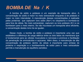 BOMBA DE Na / K
    A bomba de sódio e potássio é um exemplo de transporte ativo. A
concentração do sódio é maior no meio extracelular enquanto a de potássio é
maior no meio intercelular. A manutenção dessas concentrações é realizada
pelas proteínas que capturam íons sódio (Na+) no citoplasma e bombeia-os
para fora da célula. No meio extracelular, capturam os íons potássio (K+) e os
bombeiam para o meio interno. Se não houvesse um transporte ativo eficiente,
a concentração destes íons iria se igualar.

    Desse modo, a bomba de sódio e potássio é importante uma vez que
estabelece a diferença de carga elétrica entre os dois lados da membrana que
é fundamental para as células musculares e nervosas e promove a facilitação
da penetração de aminoácidos e açúcares. Além disso, a manutenção de alta
concentração de potássio dentro da célula é importante para síntese de
proteína e respiração e o bombeamento de sódio para o meio extracelular
permite a manutenção do equilíbrio osmótico.
 