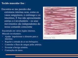 Tecido muscular liso :

Encontra-se nas paredes das
  estruturas internas ocas, como os
  vasos sanguíneos, o estômago e os
  intestinos. É liso não apresentando
  estrias e é involuntário – os seus
  movimentos são independentes do
  nosso comando consciente
Encontrado em vários órgãos internos.
Músculo involuntário.
• Ajudar impulsionar o alimento para o
  intestino.
• Regular a entrada de ar nos brônquios.
• Controlar o fluxo do sangue pelas artérias.
• Esvaziar a bexiga urinária.
• Contrações do útero.
 