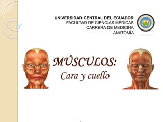 MÚSCULOS:
Cara y cuello
UNIVERSIDAD CENTRAL DEL ECUADOR
FACULTAD DE CIENCIAS MÉDICAS
CARRERA DE MEDICINA
ANATOMÍA
 