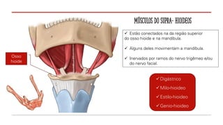 MÚSCULOS DO SUPRA- HIOIDEOS
✓ Estão conectados na da região superior
do osso hioide e na mandíbula.
✓ Alguns deles movimentam a mandíbula.
✓ Inervados por ramos do nervo trigêmeo e/ou
do nervo facial.
Osso
hioide
✓Digástrico
✓Milo-hioideo
✓Estilo-hioideo
✓Genio-hioideo
 