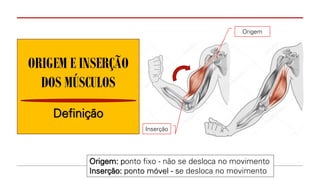 ORIGEM E INSERÇÃO
DOS MÚSCULOS
Definição
Origem: ponto fixo - não se desloca no movimento
Inserção: ponto móvel - se desloca no movimento
Inserção
Origem
 
