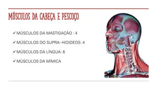 Músculos da cabeça e pescoço
✓ MÚSCULOS DA MASTIGAÇÃO : 4
✓ MÚSCULOS DO SUPRA- HIOIDEOS: 4
✓ MÚSCULOS DA LÍNGUA: 6
✓ MÚSCULOS DA MÍMICA
 