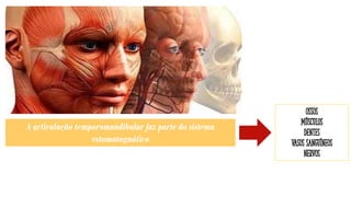 A articulação temporomandibular faz parte do sistema
estomatognático
Ossos
Músculos
Dentes
Vasos sanguíneos
Nervos
 