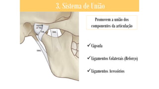 3. Sistema de União
✓Cápsula
✓Ligamentos Colaterais (Reforço)
✓Ligamentos Acessórios
Promovem a união dos
componentes da articulação
 