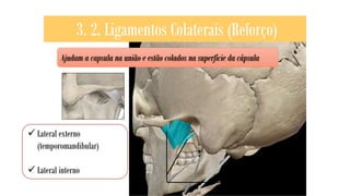 3. 2. Ligamentos Colaterais (Reforço)
Ajudam a capsula na união e estão colados na superfície da cápsula
✓ Lateral externo
(temporomandibular)
✓ Lateral interno lateral externo e
interno
 