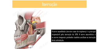 Inervação
O nervo mandibular (terceiro ramo do trigêmeo) é o principal
responsável pela inervação da ATM. O nervo massetérico e
os nervos temporais profundos também auxiliam na inervação
desta articulação.
 