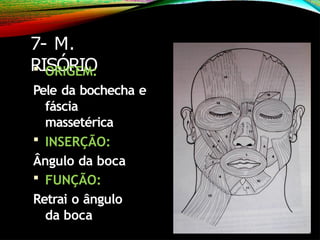 7- M.
RISÓRIO
 ORIGEM:
Pele da bochecha e
fáscia
massetérica
 INSERÇÃO:
Ângulo da boca
 FUNÇÃO:
Retrai o ângulo
da boca
 