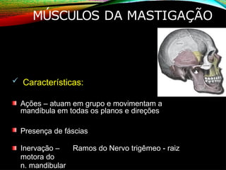 MÚSCULOS DA MASTIGAÇÃO
 Características:
Ações – atuam em grupo e movimentam a
mandíbula em todas os planos e direções
Presença de fáscias
Inervação – Ramos do Nervo trigêmeo - raiz
motora do
n. mandibular
 